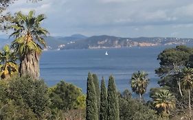 Maisonnette Bord De Mer